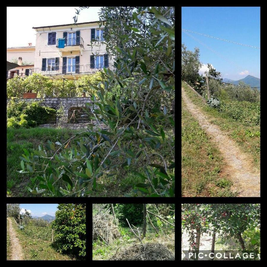 Rural House Rondini Camposasco Exterior foto