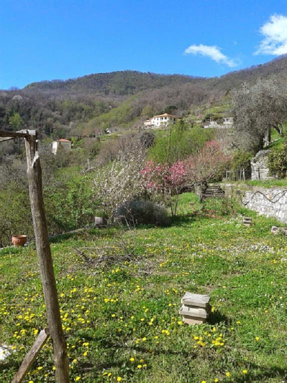 Rural House Rondini Camposasco Exterior foto